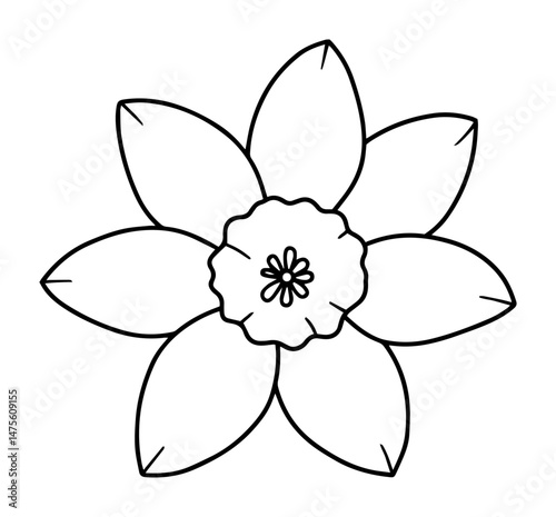 daffodil flower in outline style