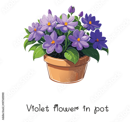 Violet Flower in Pot – African Violet Vector Plant