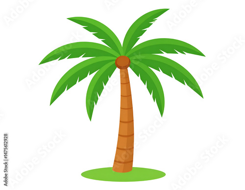 Cartoon palm tree illustration