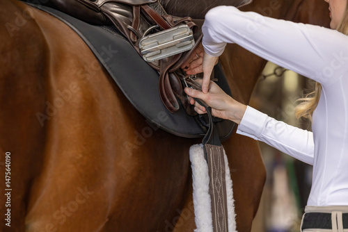 Horse Equestrian hunter jumper riding portrait tack English attire  tacking up girth