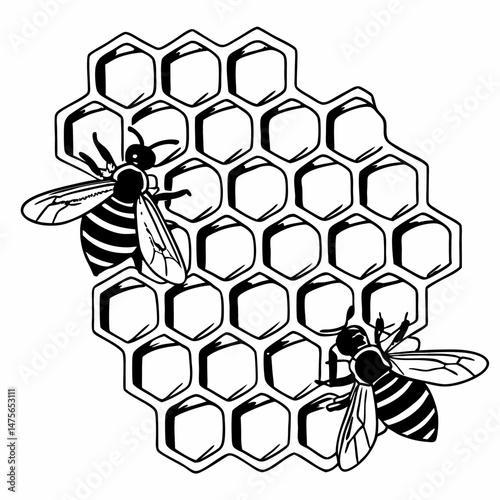 Intricate Line Art of a Honeycomb with Bees