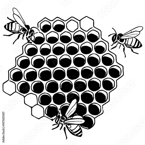 Intricate Line Art of a Honeycomb with Bees