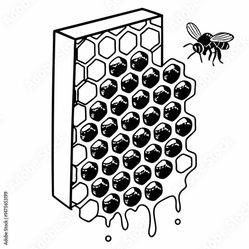 Intricate Line Art of a Honeycomb with Bees