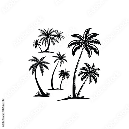 vector illustration of palm trees