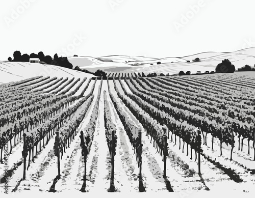 Line Art Vineyard Landscape