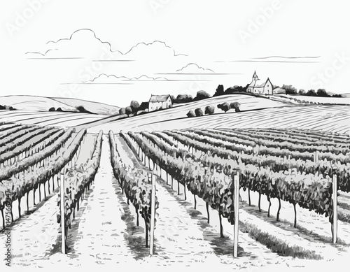 Line Art Vineyard Landscape