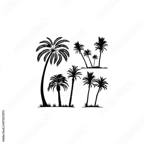 vector illustration of palm trees