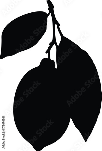 Lemon fruit silhouette, Silhouette of lemon fruit drawing icon vector illustration, orange fruit silhouette vector
