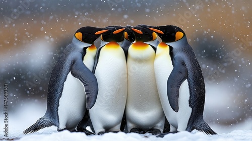 A group of emperor penguins huddled together in the snow during a winter storm in antarctica