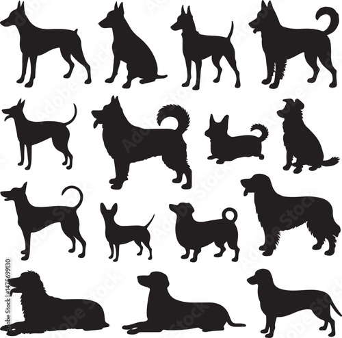 Loyal Dog Sitting Silhouette

Playful Puppy Running Vector

Dog with Paw Up Silhouette Scene

Alert Guard Dog Vector Design

Dog and Owner Walking Silhouette