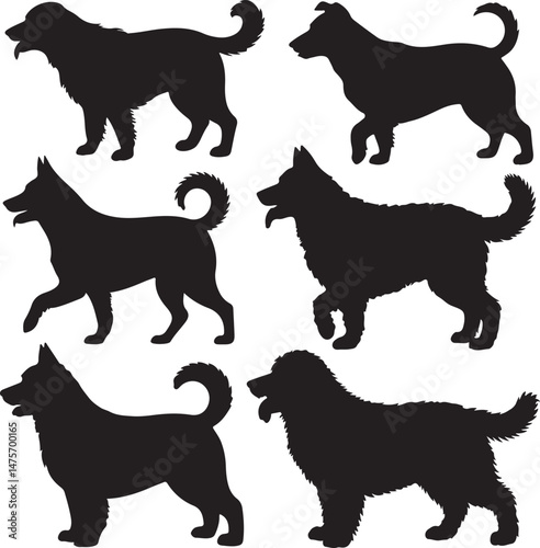 Loyal Dog Sitting Silhouette

Playful Puppy Running Vector

Dog with Paw Up Silhouette Scene

Alert Guard Dog Vector Design

Dog and Owner Walking Silhouette