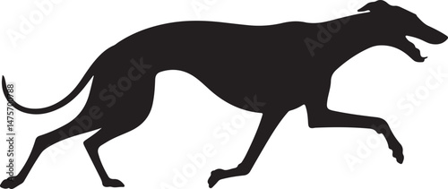 Loyal Dog Sitting Silhouette

Playful Puppy Running Vector

Dog with Paw Up Silhouette Scene

Alert Guard Dog Vector Design

Dog and Owner Walking Silhouette