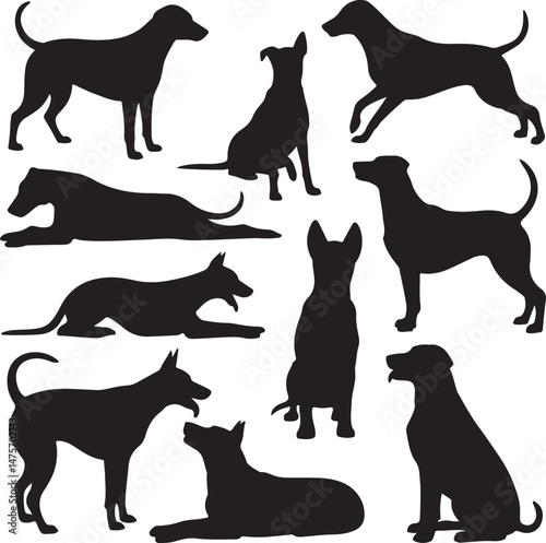 Loyal Dog Sitting Silhouette

Playful Puppy Running Vector

Dog with Paw Up Silhouette Scene

Alert Guard Dog Vector Design

Dog and Owner Walking Silhouette