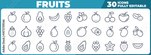 Collection of 30 fruit icons vector illustration set fully editable