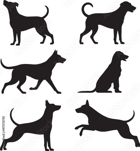 A striking black silhouette of a dog with a long tail sniffing the ground. It captures the simple, 
yet powerful, beauty of canine companionship. 