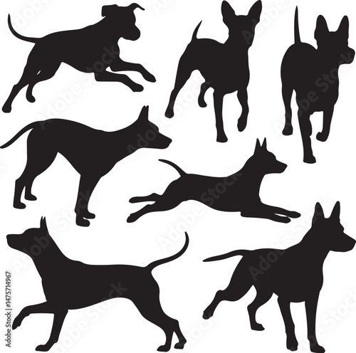 A striking black silhouette of a dog with a long tail sniffing the ground. It captures the simple, 
yet powerful, beauty of canine companionship. 