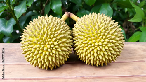 A pair of pungent durians rest on a wooden table against a green backdrop.
