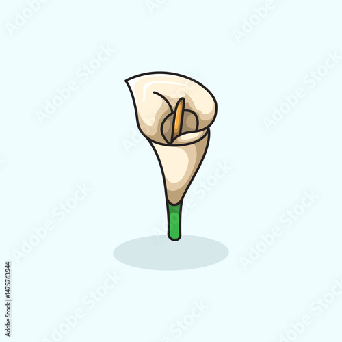 Vector illustration of calla lily flower plant symbolizing purity elegance and beauty Perfect for floral design wedding themes botanical projects and nature