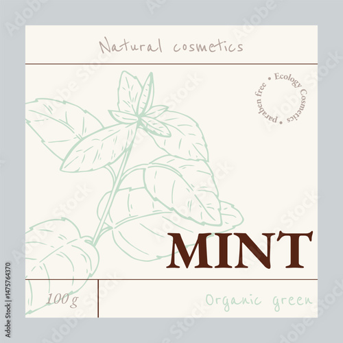 Mint emblem template. Natural cosmetics ingredient. Hand drawn ink sketch plant from package design. Ecology concept in beauty industry. Vector illustration.