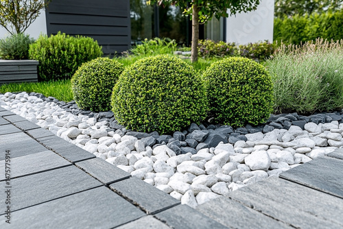 Contemporary backyard landscaping featuring symmetrical shrubbery and decorative gravel arrangement