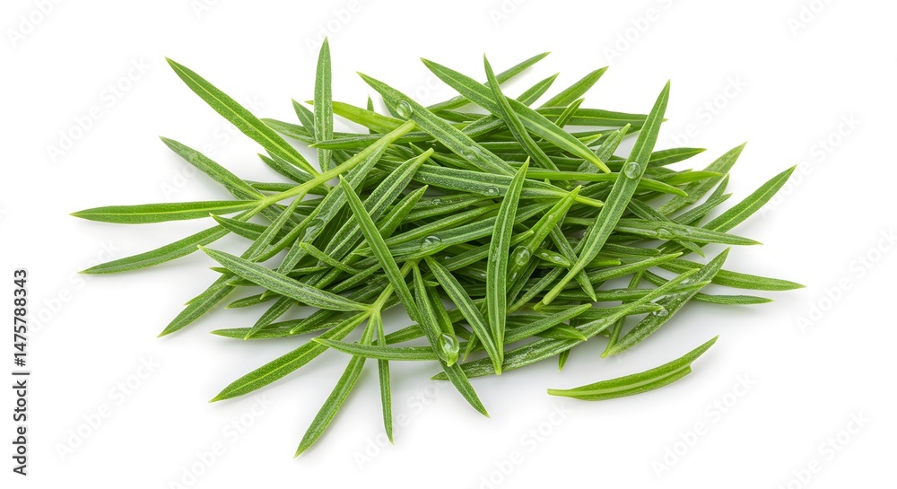 Fototapeta premium Pile of Fresh Green Leaves with Water Droplets Isolated on White