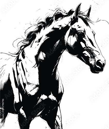 Horse illustration on white background