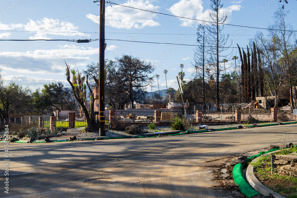Naklejka premium Homes destroyed in the Altadena wildfires in Altadena California USA