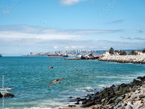 View of Vina del Mar beach in Chile