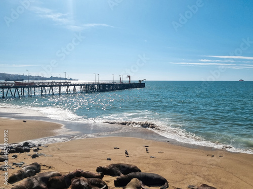 View of Vina del Mar beach in Chile