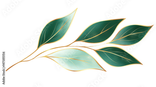 Elegant Green Leaves with Artistic Golden Lines Isolated on Clean White Background for Botanical and Decorative Design