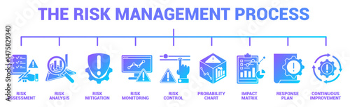 The Risk Management Process