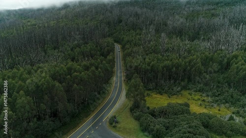 Aerial View of Alpine Road and Forest in Lake Mountain Marysville, Victoria, Australia