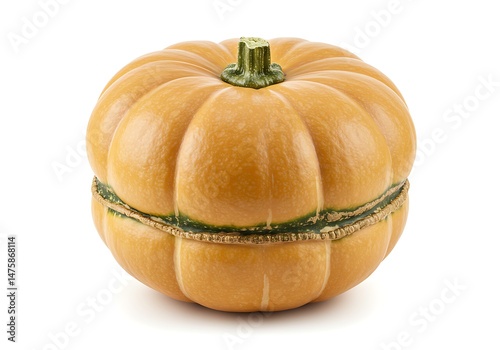 A single golden hubbard squash on a white background