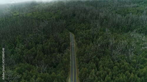 Aerial View of Alpine Road and Forest in Lake Mountain Marysville, Victoria, Australia
