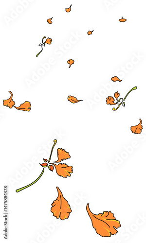 illustration of petals fall off of Flame tree orange flower drift down from their branches