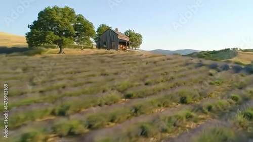 Hillside with House and Tree on Hilltop from Above