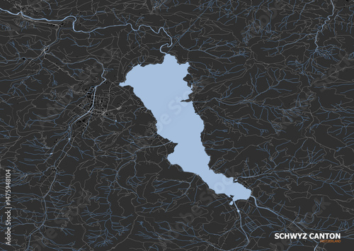 Schwyz Night Glow Map - White Highways, Medieval Town & Lake Lucerne Shores (Black Swiss Darkscape)