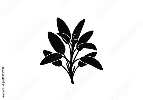 Sage silhouette. This image shows a black and white design of a wise sage in a contemplative pose, symbolizing knowledge, spirituality, and wisdom. Vector clipart illustration design.