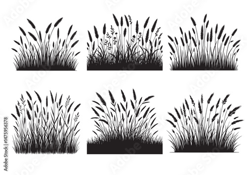 Grass  Silhouette Vector