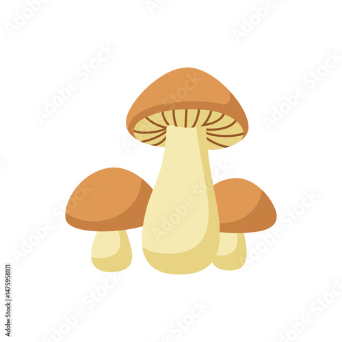 Simple Group of Brown and Beige Mushrooms Vector Illustration