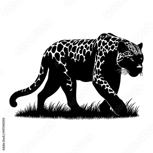 jaguar Panthera onca, silhouette vector file.