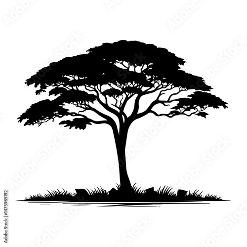 tree, silhouette vector file.
