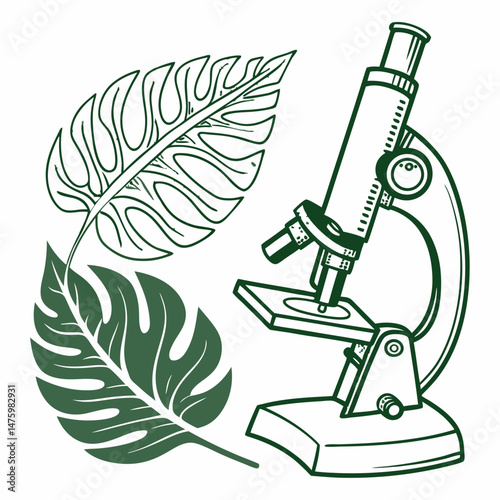 A leaf under microscope