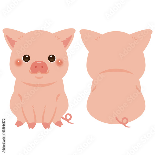 お座りしたブタの前後イラストセット