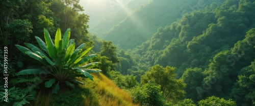 Lush green tropical foliage adorns a verdant hillside, illuminated by warm sunlight, creating a serene and inviting landscape