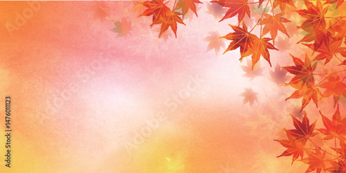 紅葉　もみじ　秋　背景	