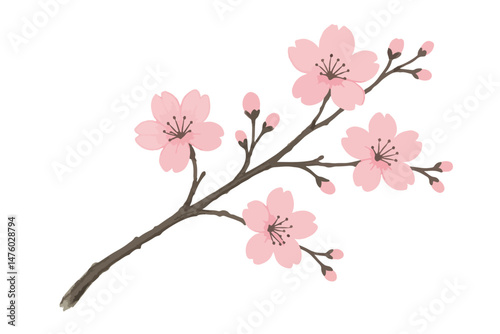 Colorful set of flowers. abstract origami flowers background