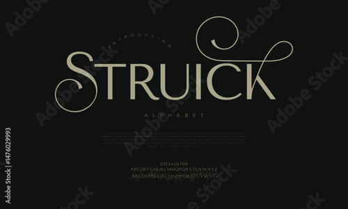 Modern serif font with sophisticated curves and strokes, designed for logos, branding, and editorial use