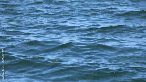 Ocean Water Rippling In Daylight