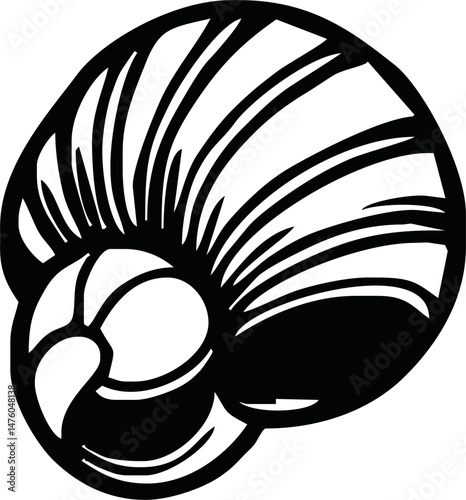 A black and white sea shell illustration line art of a coloring page